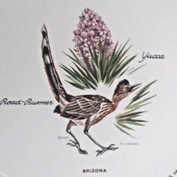 AACO souvenir Collector Plate Arizona 10" Road Runner YUCCA wide gold bird - Picture 2 of 4